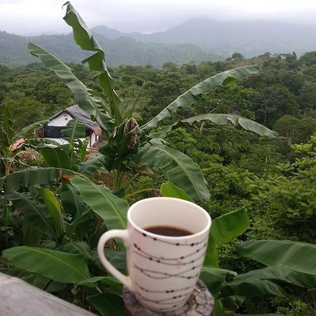 Hostal Mirador Dentro Del Parque Tayrona 埃尔扎伊诺 外观 照片