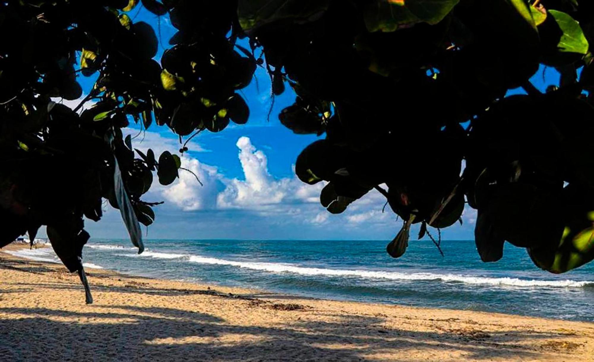 Hostal Mirador Dentro Del Parque Tayrona 埃尔扎伊诺 外观 照片