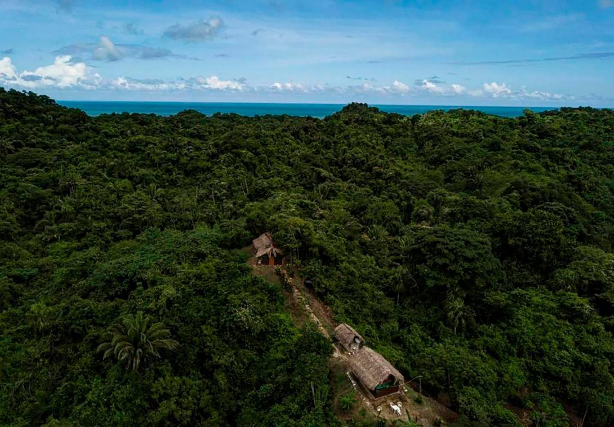 Hostal Mirador Dentro Del Parque Tayrona 埃尔扎伊诺 外观 照片
