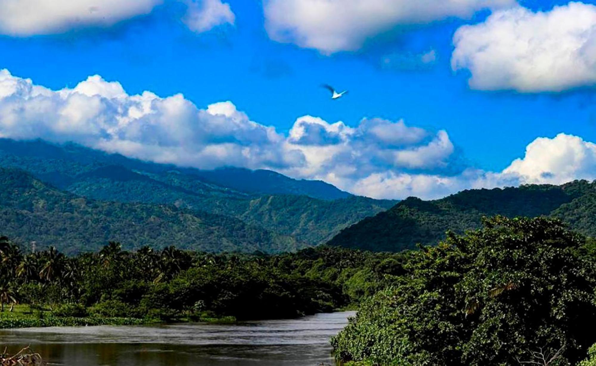 Hostal Mirador Dentro Del Parque Tayrona 埃尔扎伊诺 外观 照片