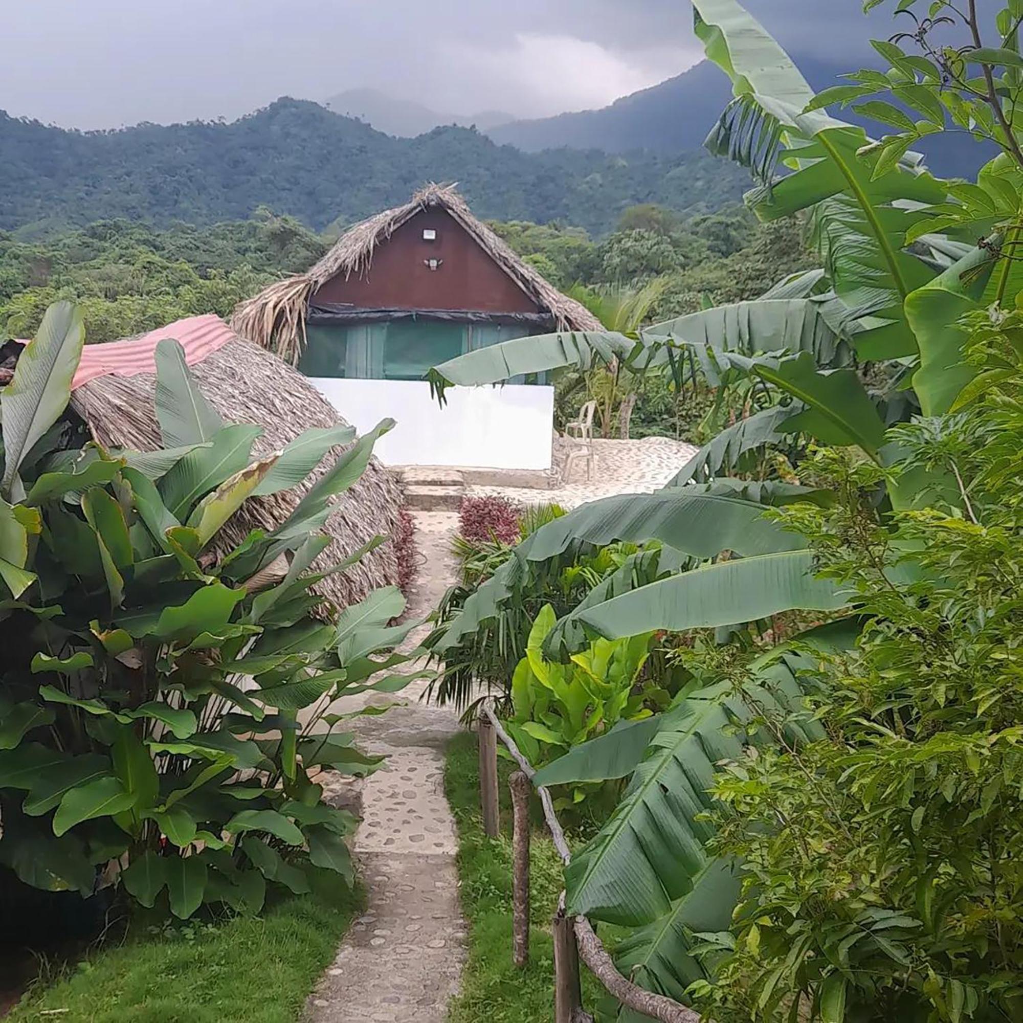 Hostal Mirador Dentro Del Parque Tayrona 埃尔扎伊诺 外观 照片