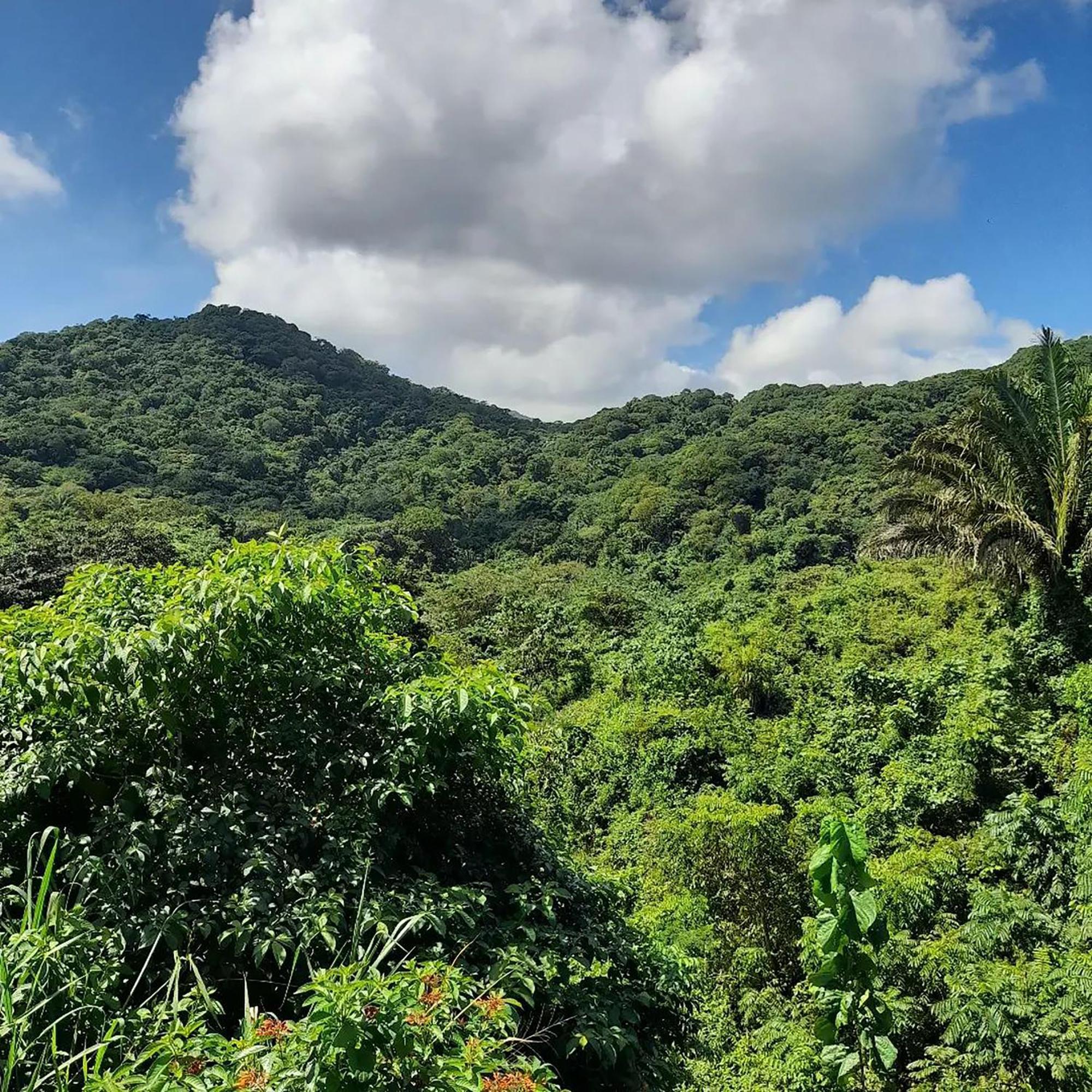 Hostal Mirador Dentro Del Parque Tayrona 埃尔扎伊诺 外观 照片