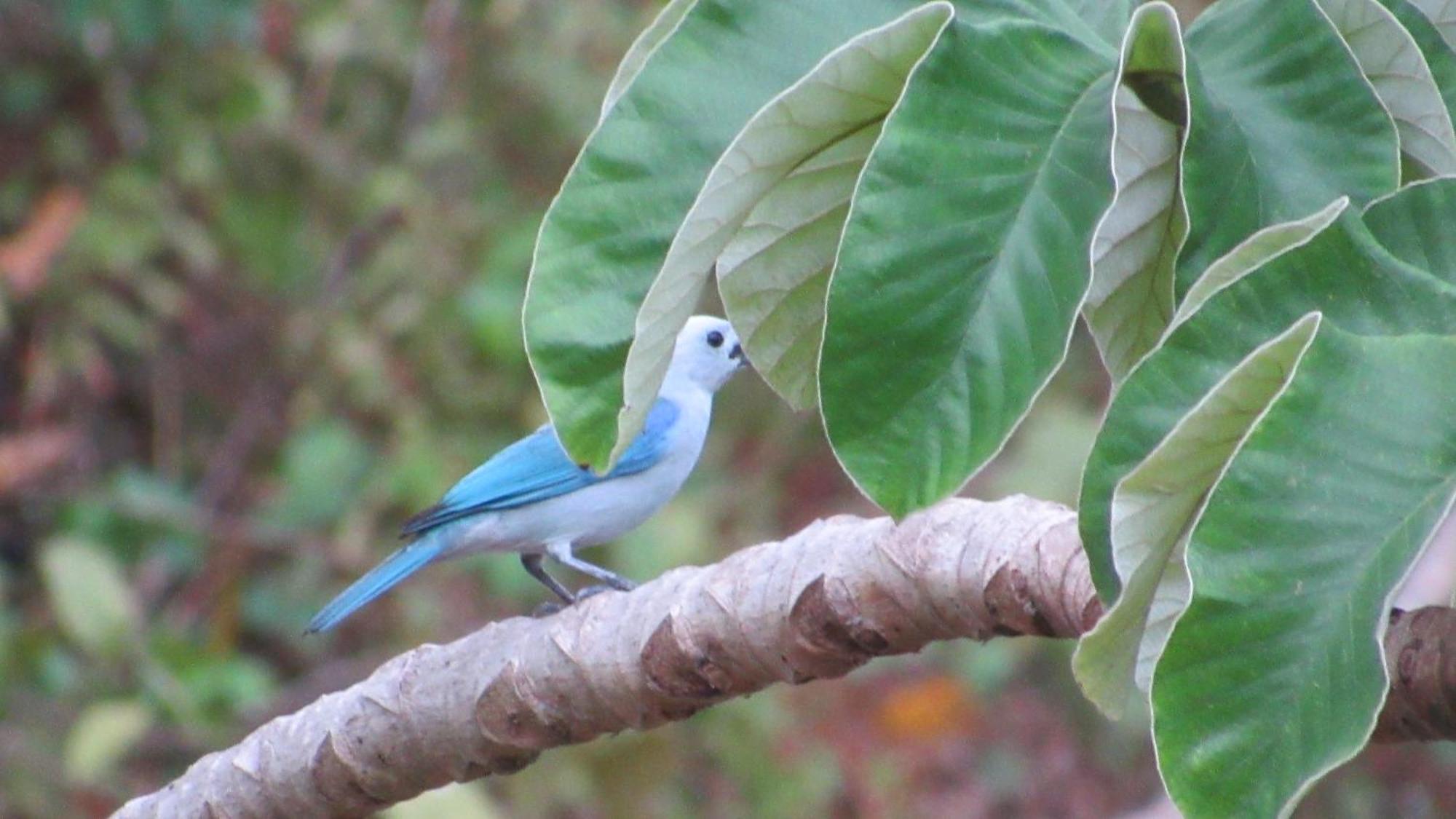 Hostal Mirador Dentro Del Parque Tayrona 埃尔扎伊诺 外观 照片