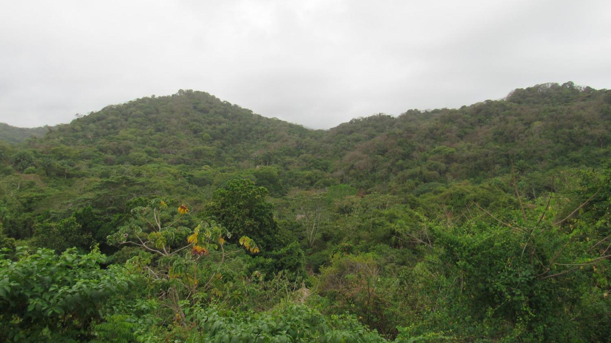 Hostal Mirador Dentro Del Parque Tayrona 埃尔扎伊诺 外观 照片