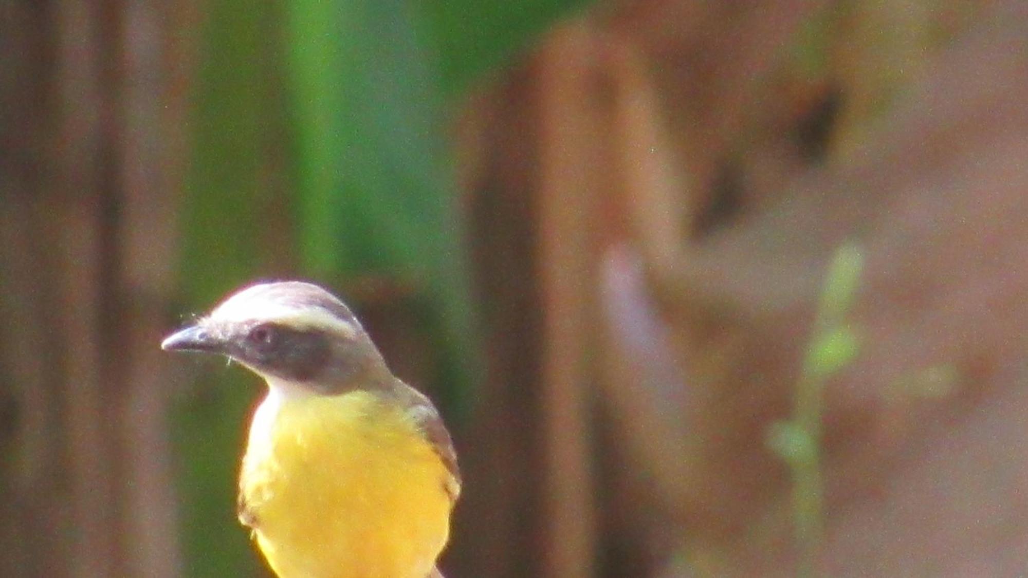 Hostal Mirador Dentro Del Parque Tayrona 埃尔扎伊诺 外观 照片