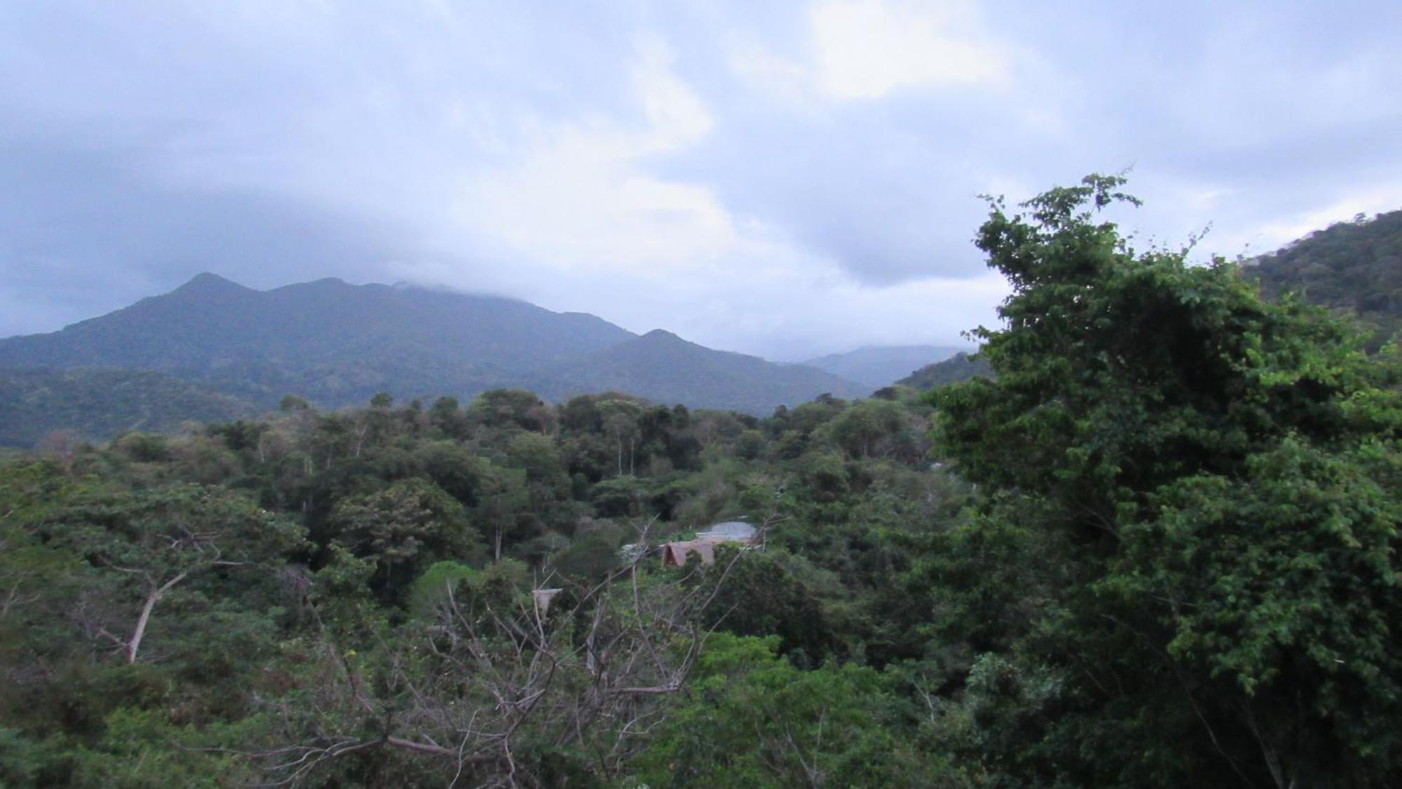 Hostal Mirador Dentro Del Parque Tayrona 埃尔扎伊诺 外观 照片