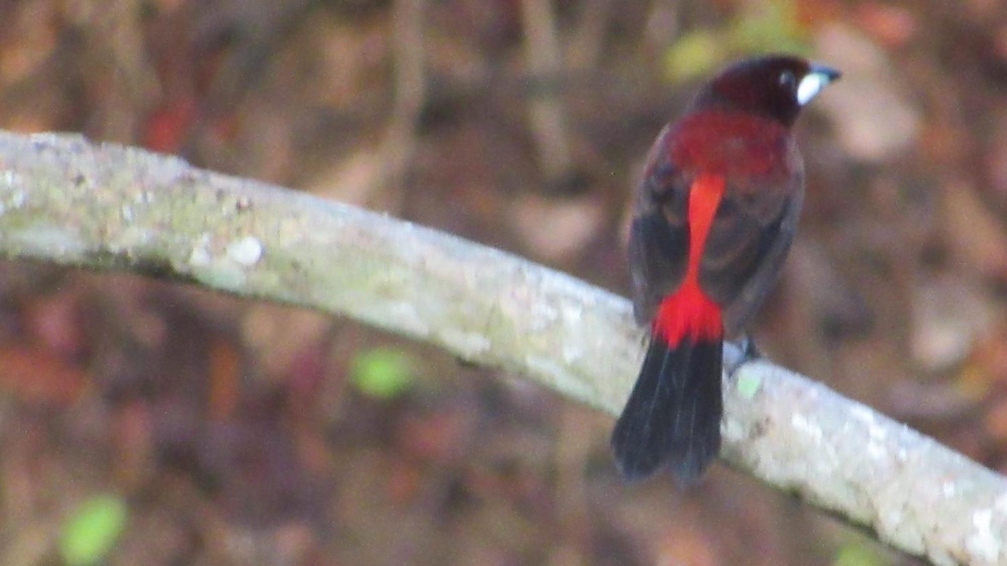 Hostal Mirador Dentro Del Parque Tayrona 埃尔扎伊诺 外观 照片
